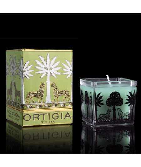 SCENTED CANDLE FICO D'INDIA 110G